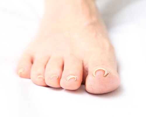 pixta_18383528_M (1)