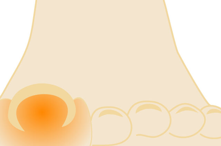 AnyConv.com__ダウンロード (1)